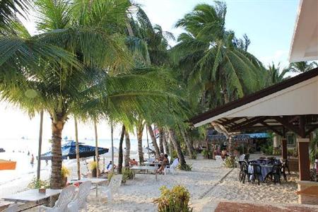 фото отеля Willy's Beach Club Hotel