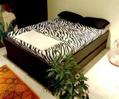 фото отеля Pauliceia Hostel