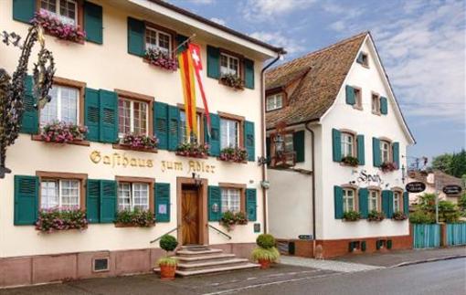 фото отеля Hotel Adler Weil am Rhein