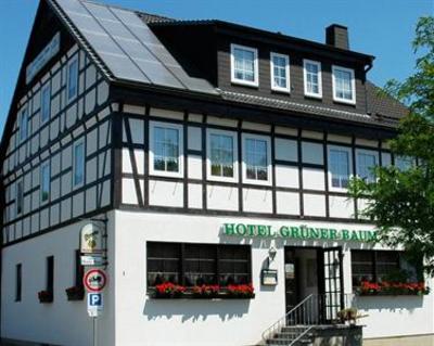 фото отеля Hotel Gruner Baum Stollberg