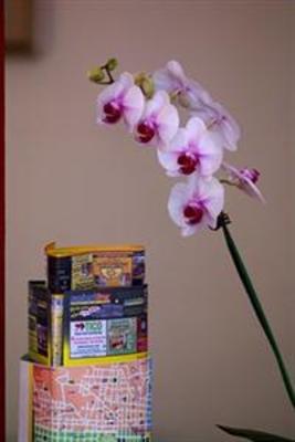фото отеля Taylor Inn Bed & Breakfast San Jose