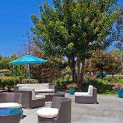 фото отеля Staybridge Suites Anaheim - Resort Area