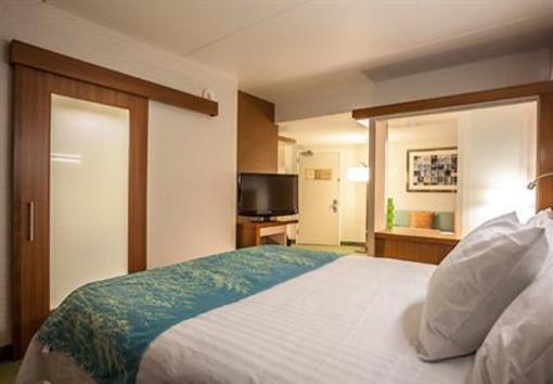 фото отеля SpringHill Suites Philadelphia Valley Forge King of Prussia