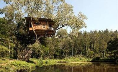 фото отеля Elephant Valley Eco Farm Hotel