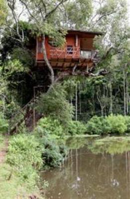фото отеля Elephant Valley Eco Farm Hotel
