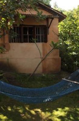 фото отеля Elephant Valley Eco Farm Hotel
