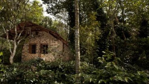 фото отеля Elephant Valley Eco Farm Hotel