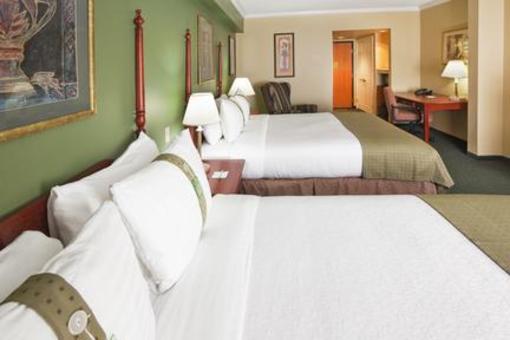 фото отеля Holiday Inn Dallas North Addison