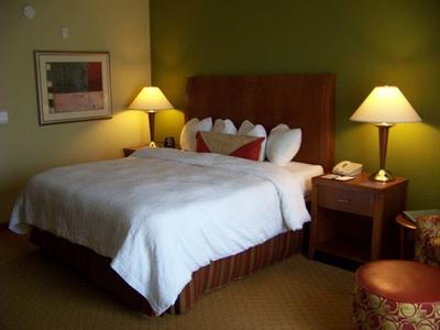 фото отеля Hilton Garden Inn Atlanta NW / Kennesaw Town Center