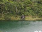 фото отеля Los Lagos Hotel La Fortuna