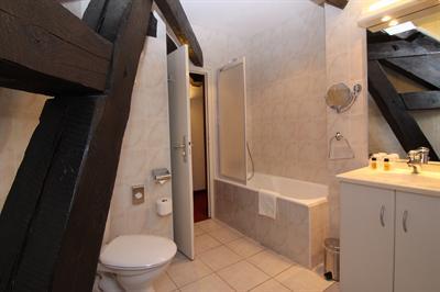 фото отеля Hotel Angleterre Grenoble