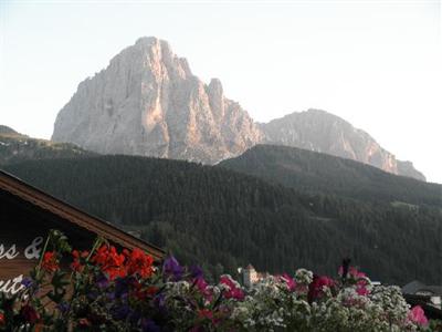 фото отеля Hotel Gardenia