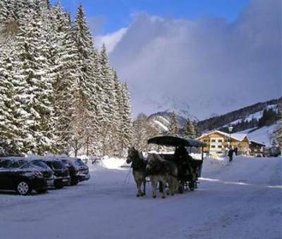 фото отеля Hotel Bischofsmutze Filzmoos