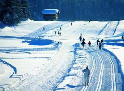 фото отеля Hotel Charlotte Seefeld