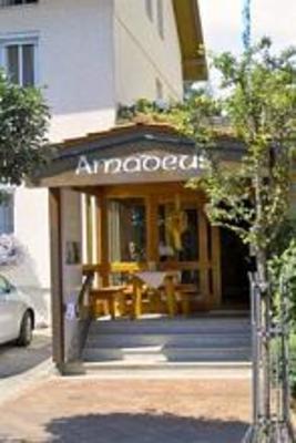 фото отеля Hotel Amadeus Bad Worishofen