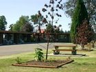 фото отеля Arbutus Grove Motel