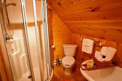 фото отеля Chalets Hotel et Spa Temikami