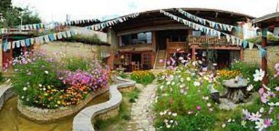 фото отеля Swallow's Nest Hostel