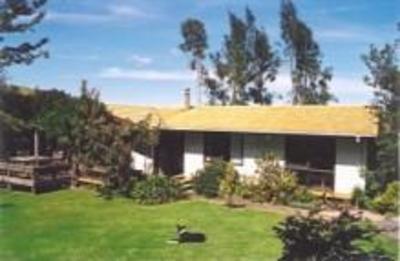 фото отеля Te Puna Farmstay