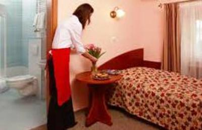 фото отеля Hotel pod Wierzba