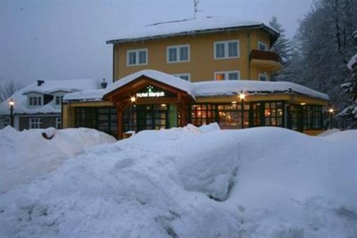 фото отеля Hotel Risnjak Delnice