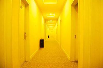 фото отеля Bindu Express Hotel