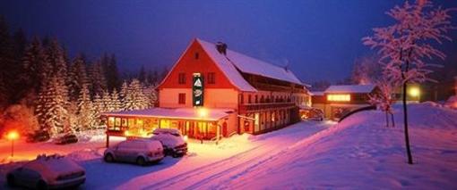 фото отеля Waldhotel Vogtland