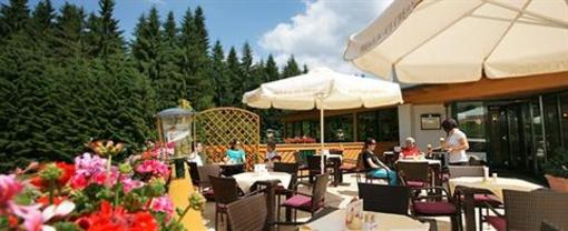 фото отеля Waldhotel Vogtland