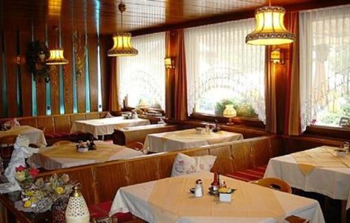фото отеля Hotel Edelweiss Langenfeld