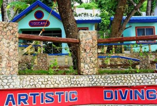 фото отеля Artistic Diving Resort