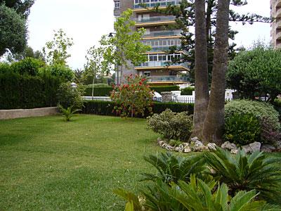 фото отеля Hotel Vista Alegre