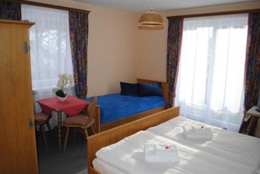 фото отеля Haus Hollbacher Dorfgastein