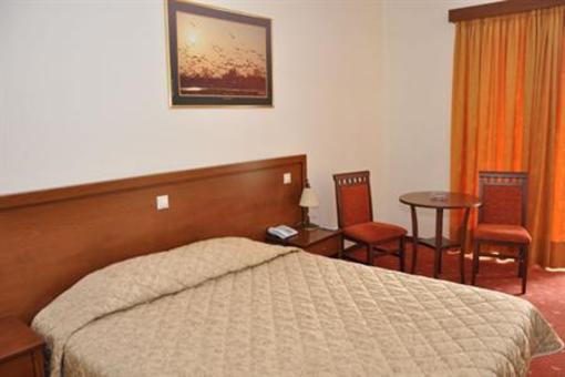 фото отеля Arta Palace Hotel