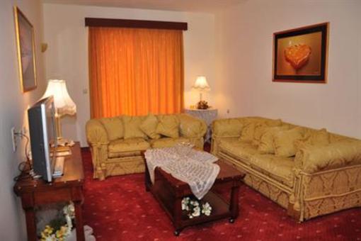 фото отеля Arta Palace Hotel