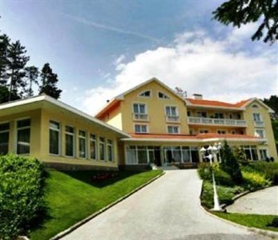 фото отеля Villa Medici Hotel & Restaurant