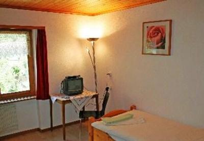 фото отеля Hotel Piz Vizan Andeer