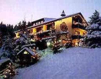 фото отеля Adlerschanze Hotel