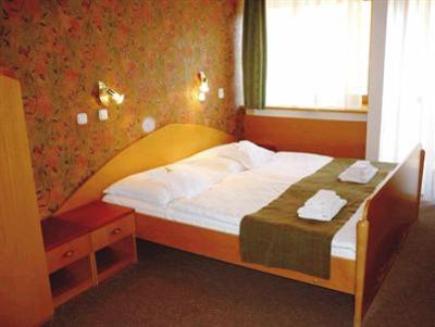 фото отеля Hotel Flóra Trencianske Teplice