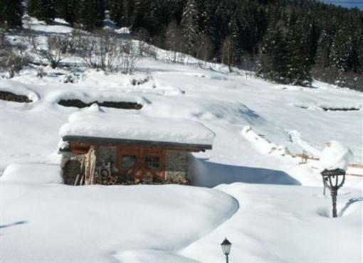 фото отеля Hotel Chalet Alpenrose
