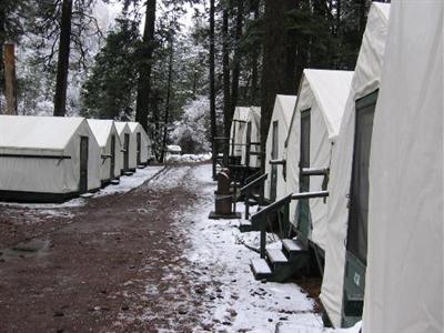 фото отеля Curry Village Lodging Yosemite National Park