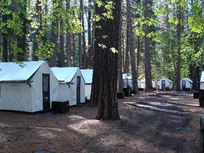 фото отеля Curry Village Lodging Yosemite National Park