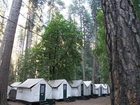 фото отеля Curry Village Lodging Yosemite National Park