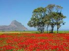 фото отеля Al Ritrovo