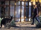 фото отеля Wilpena Pound Resort Flinders Ranges