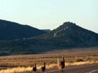 фото отеля Wilpena Pound Resort Flinders Ranges