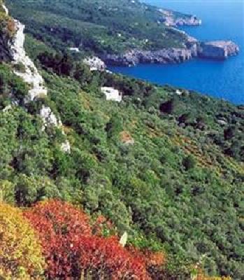 фото отеля Al Mulino Hotel Anacapri