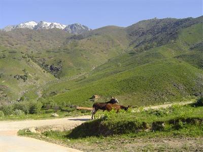 фото отеля Hotel Nabia