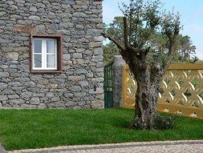 фото отеля Colina Da Faja Hotel Calheta