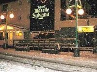 Muzelle Sylvana