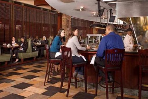фото отеля Hilton Garden Inn Chicago Downtown Magnificent Mile